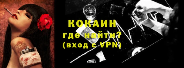 молекула духа Няндома