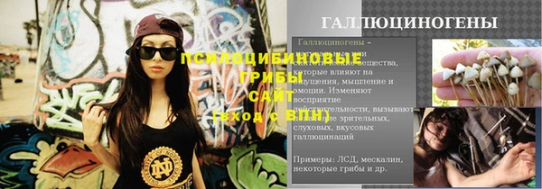 a pvp Алзамай