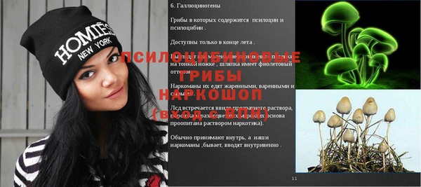 мдпв Нягань