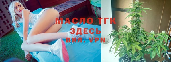 молекула духа Няндома