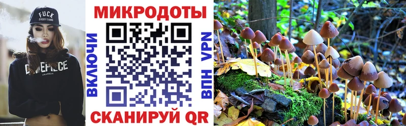 Псилоцибиновые грибы Psilocybe Шуя