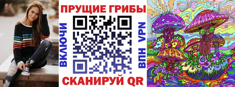 закладки  Шуя  ОМГ ОМГ рабочий сайт  Галлюциногенные грибы мицелий 