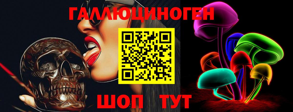 Шуя  Галлюциногенные грибы прущие грибы  Вход с VPN 
